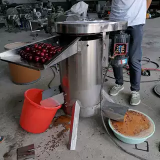 樱桃李油柑甜桃芒果去核打浆机果蔬打浆机 熟山楂红枣红豆打泥机
