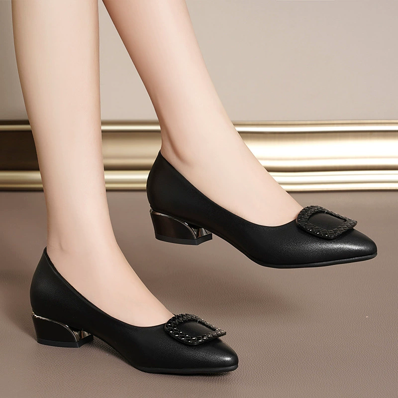 Весенние новые балетки, туфли с заострённым носком и неглубоким вырезом, женские туфли больших размеров в корейском стиле 2025 года, на толстом каблуке, легко сочетаются с одеждой