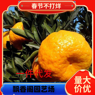 һ�����l����ո̘�̨��85-1���͗ո���o�����̼޽��J�̽��Ә���