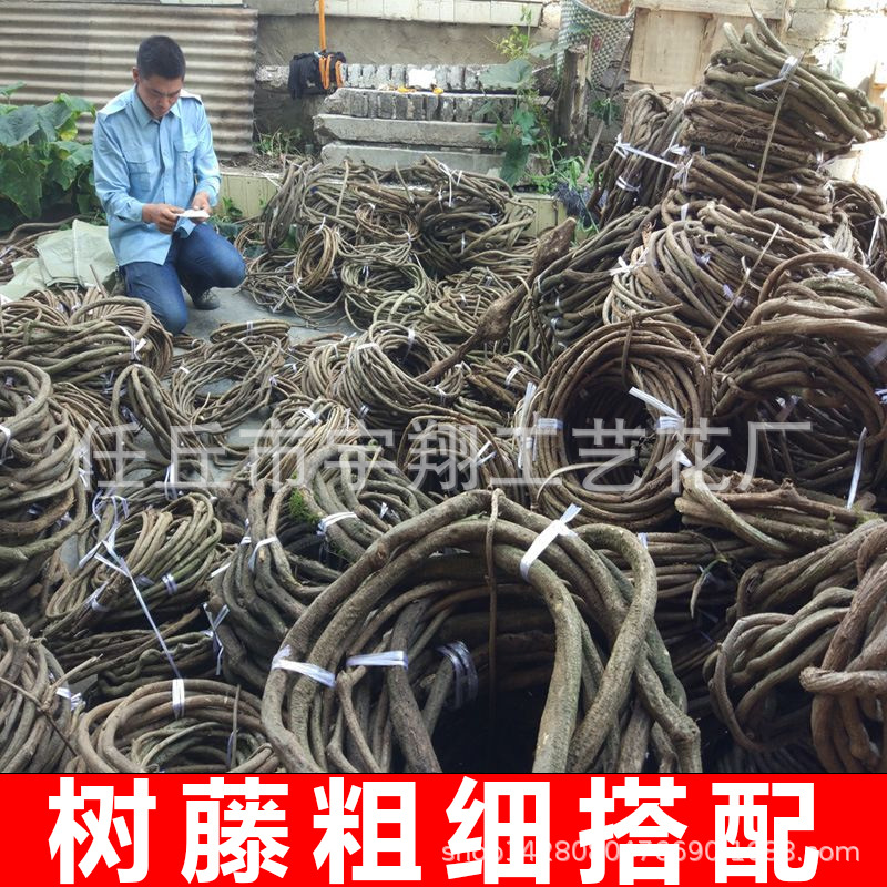 스타일링용 덩굴