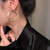 Silver needle, design fashionable metal earrings, European style, trend of season, simple and elegant design