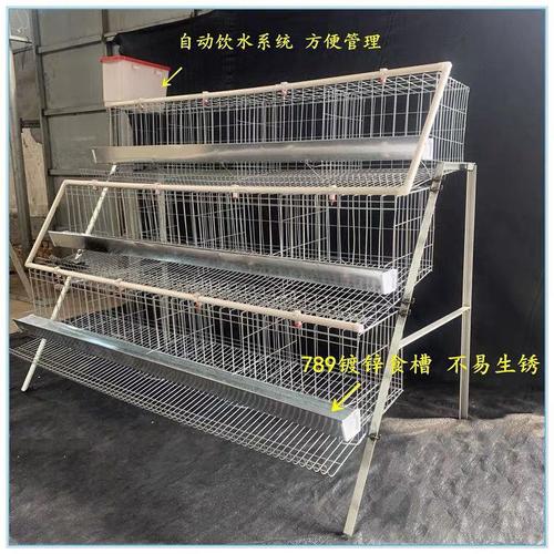 Breeding cage for high-quality laying hens, exclusive cage for laying hens, step-type cage for raising laying hens, complete set of laying hen raising equipment