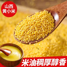 5������ɽ���SС�׮�����������������s�Z��ŴС���r���S���¼Z