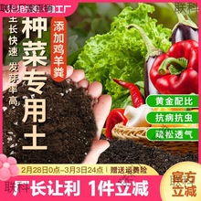 阳台种菜土壤营养土通用型种植土花土泥土黑土有机肥料蔬菜土