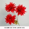 3 Flame chrysanthemum