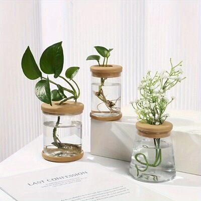 Clear Hydroponic Plant Vase 3pcs Clear Hydroponic Plant Cross border