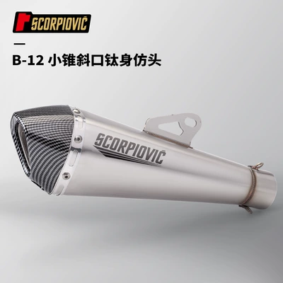for 51mm Diameter Stainless Steel — Motorcycle exhaust pipe - b-12-small-cone-beveled-titanium-body-imitation-head