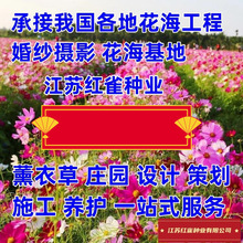 羳؛컨MOӋСrղ˹ղʺǹջ