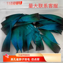 ���c����ë��ȸë���ϝ{���c������ֹ��������h�l����ᘲ���