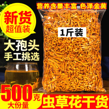 ����x�ݻ�500g��؛��Ʒ��Ұɽ�������x�ݹ��Ҝ�����һ�ﱱ�x��