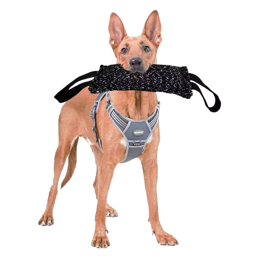 Подушка для укуса домашних животных Подушка для укуса тренировки Подушка для домашних животных