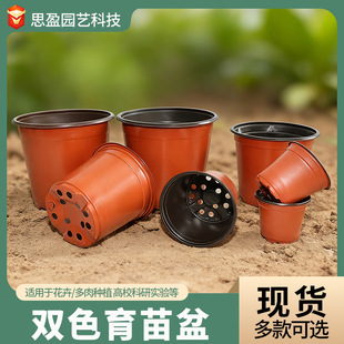 �pɫ����Nֲ����I�B���S�������ܻ�������һ���ԼӺ��pɫ������