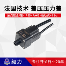 _PIP65ˮ僽y|ӾZC΢΢sC