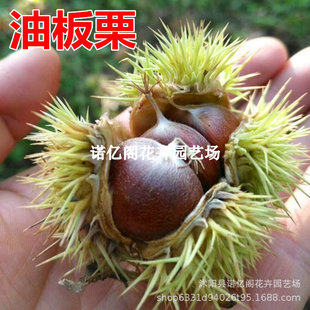 �������������_������޽����Ә����ϱ���ͥԺ�Nֲ���Թ������