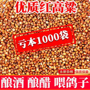 �¼t����40���؃rᄾ��¼Z20���Bʳι����100�ﮔ����10kgȥ����