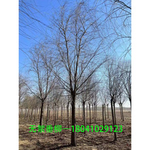 Իع  o109ľ ҎRȫ󃞻