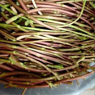 �������rҰ���t��޼���J���J�������~�o�Ϲ����o������ժ����