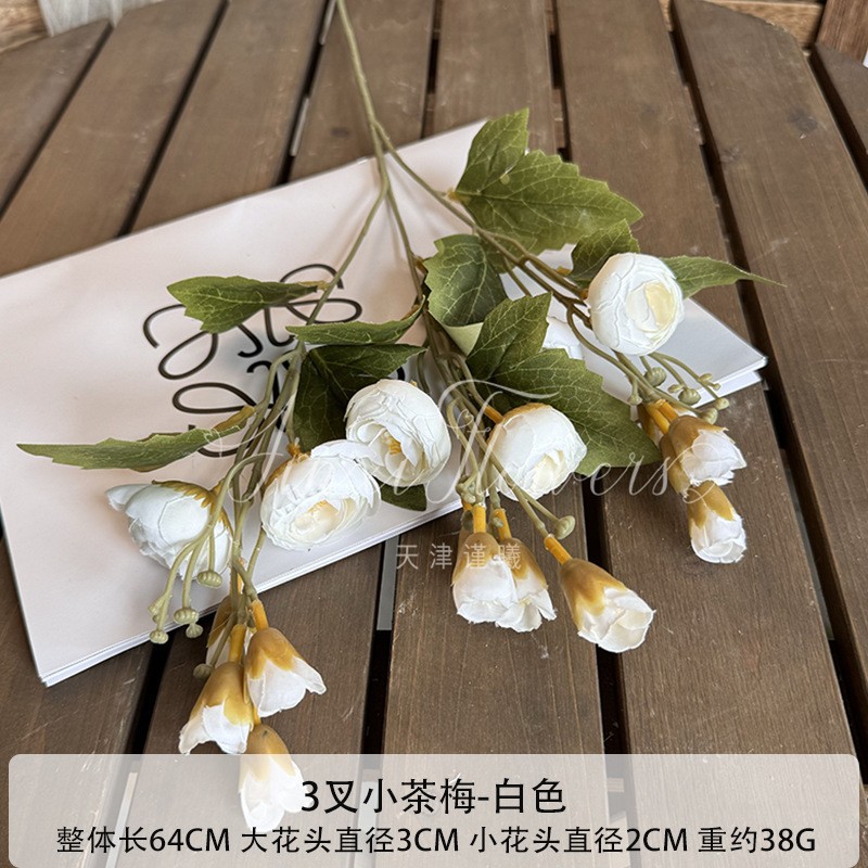 3 forks of small camellia