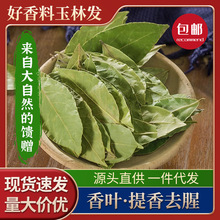 广西国产香叶进口香叶干货净重发货新鲜调料香料批发调味料卤水