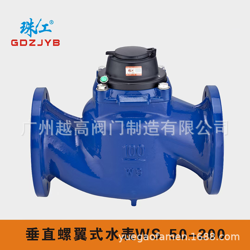珠江水表广东股份有限公司WS-50-80-100-200垂直螺翼式大口径水表