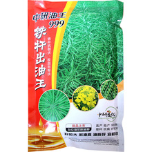 北方抗寒型铁杆出油王999油菜籽种子 农田杆粗高油杂交油菜花籽