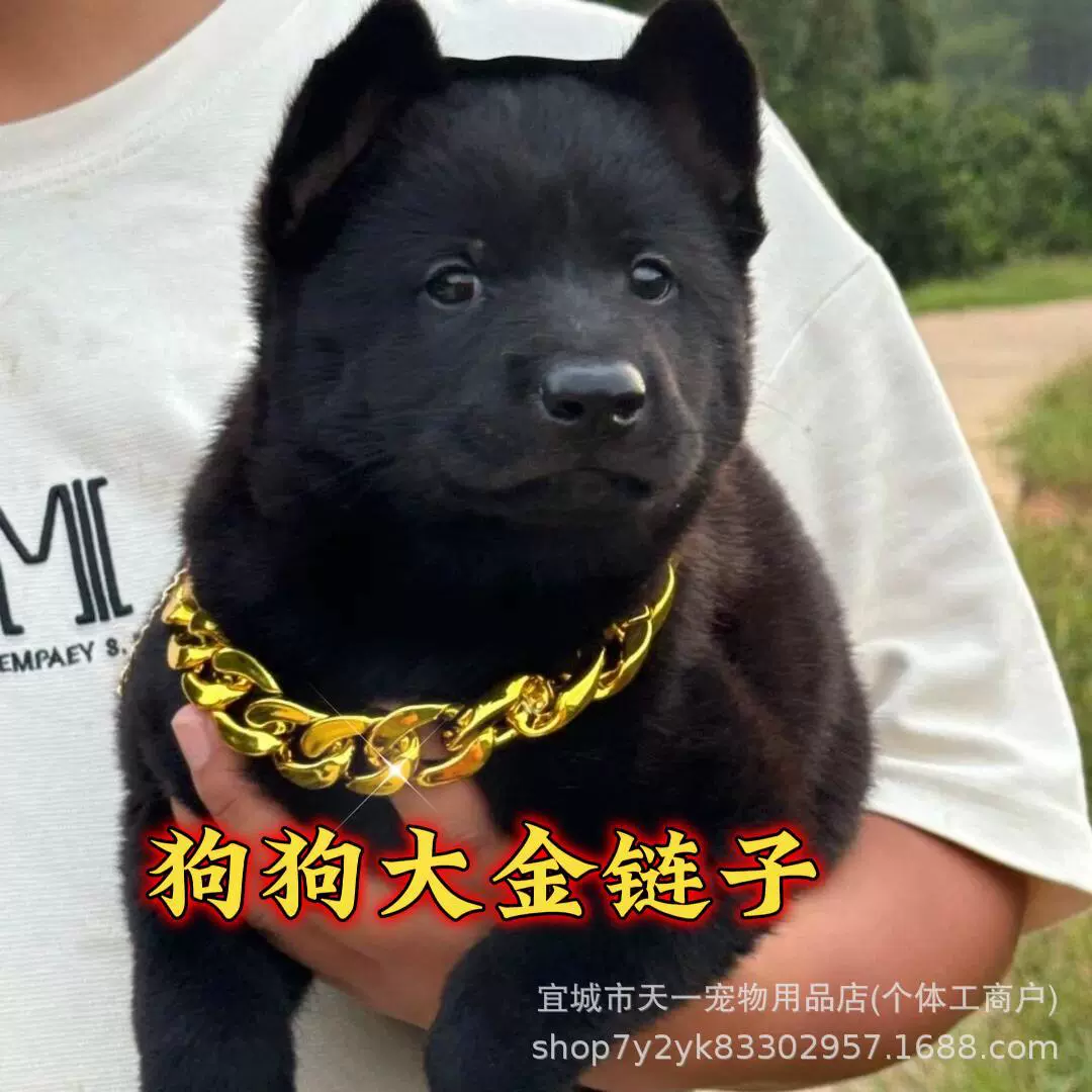 Популярное ожерелье для собак и кошек в виде золотой цепи, имитация золота, крупное, серебряное, для домашних животных