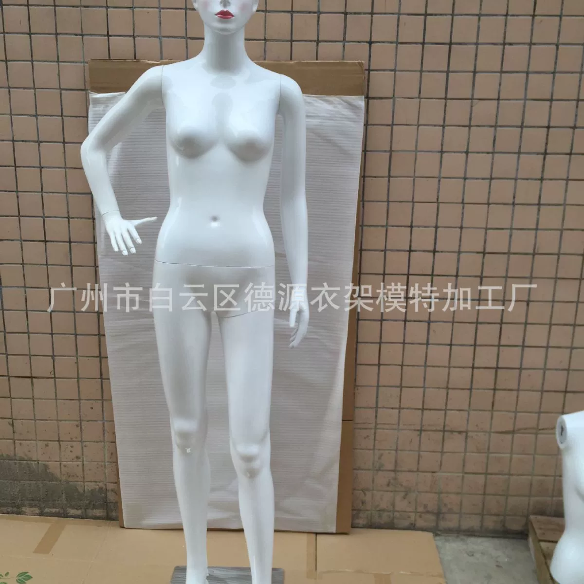 Plastic mannequin head, makeup primer, 2019 years, new collection