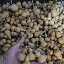 ���J��ȻС���J�]��覴��������Π��������]�п��Ԕ[��Ұ����E18