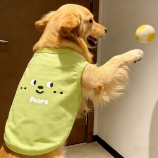 ���ﹷ���·����Ŀ���������ЦĘPear�H�w���Ĵ���Ȯ��ë��������