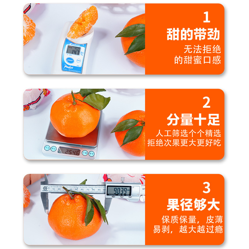 4.5kg - [작은 열매 65-70mm] 약간의 신맛이 있으니 촬영시 주의해주세요!