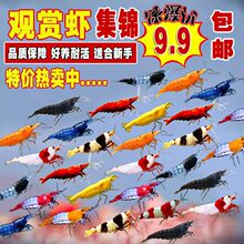 �����߲��^�p�r��ˮ�O���r�����r���ֻ��r�坍�rˮ���r�����r�ײ�