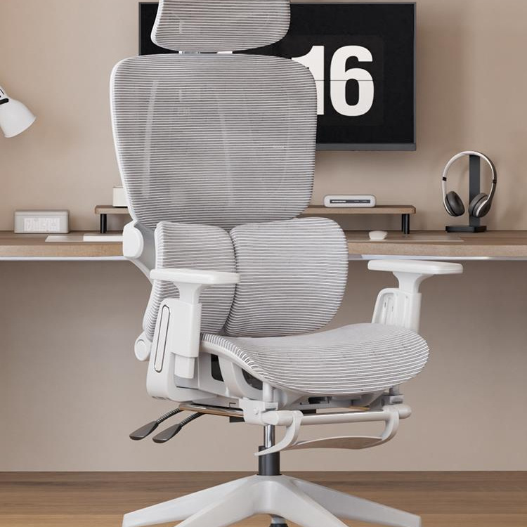 Factory Waist Protection Sedentary E-Sports Chair Factory Computer Lying Office Chair Ergonomic Chair for Boys Home