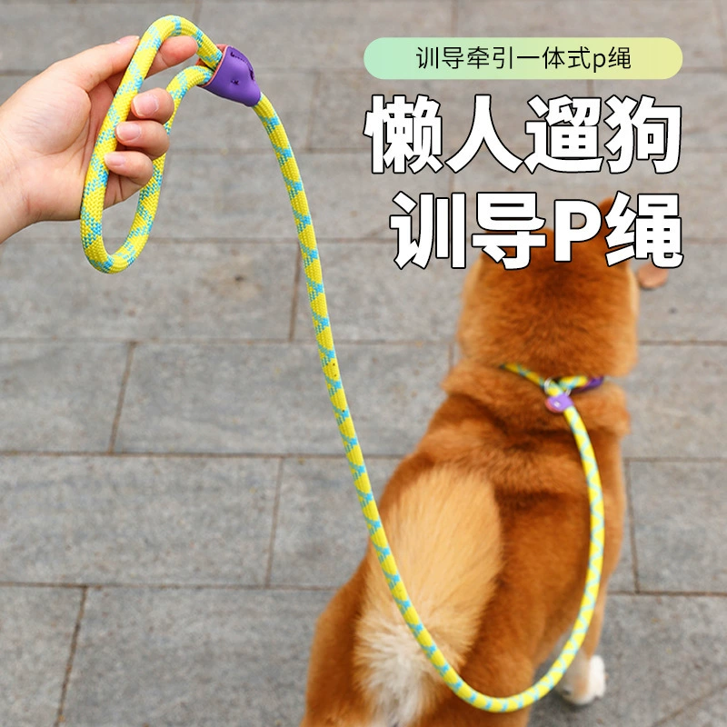 Cross-Border Dog Leash, Integrated Adjustable Anti-Shock Dog Walking Tool, P Traction Rope for Medium and Large Dogs