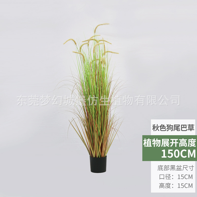 Bonsai papiro de otoño (150cm)