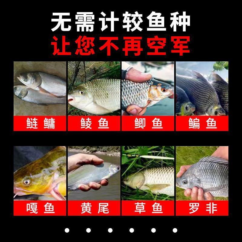 釣り用品 ブラックテクノロジー 全自動水中集魚灯 超音波集魚器 集魚器 鯉、フナ、ナマズ|undefined