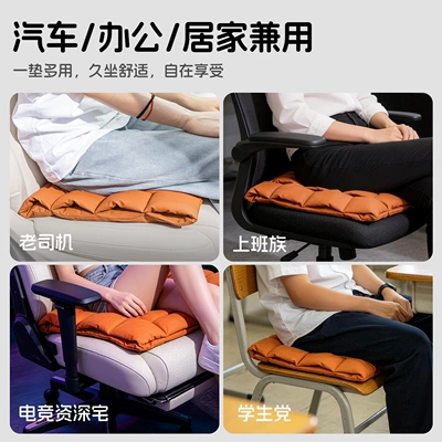 Seat cushion, seat cover: All Seasons, Office Seat Cushion with