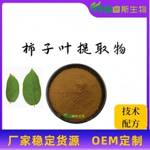 柿子叶提取物 柿子叶粉 比例萃取 水溶性植提厂供应 柿子叶浓缩粉