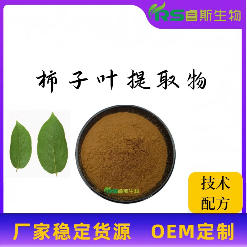 柿子叶提取物 柿子叶粉 比例萃取 水溶性植提厂供应 柿子叶浓缩粉