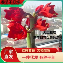 һ�����l��피tϞ������������˹�Ů����Ů���M�ڷ�Ϟ���˟o����