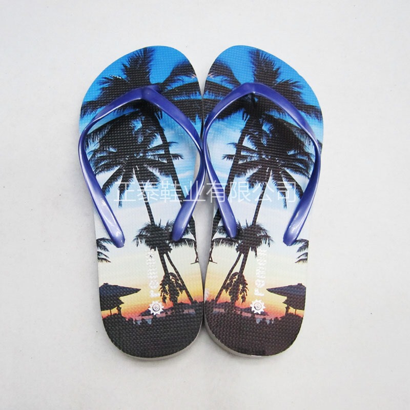 Cross-Border Dz Beach Flip-Flops with Hawaiian Style Coconut Tree Print for Women, Flat Flip-Flops, Thong Sandals, Customizable with Logo Cross-Border Dz Beach Flip-Flops with Hawaiian Style Coconut Tree Print for Women, Flat Flip-Flops, Thong Sandals, Customizable with Logo