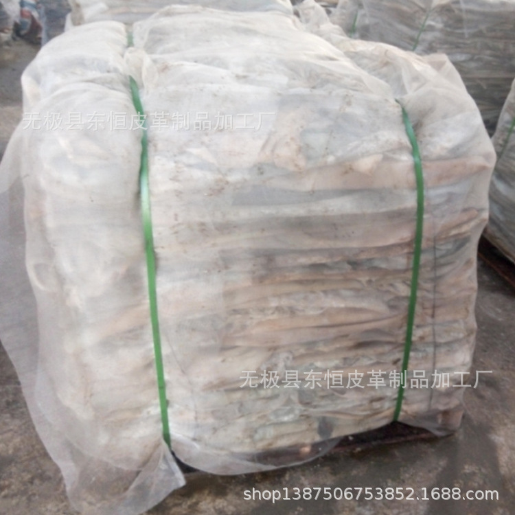 出口韩国 河北无极 盐湿黄牛皮二层 盐湿灰皮 可做明胶 脱毛牛皮