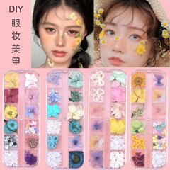 小さなデイジーの乾いた花は顔の花びらの顔のデカールを貼って写真を撮ります。