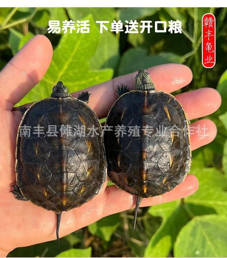 微信图片_20221104125820