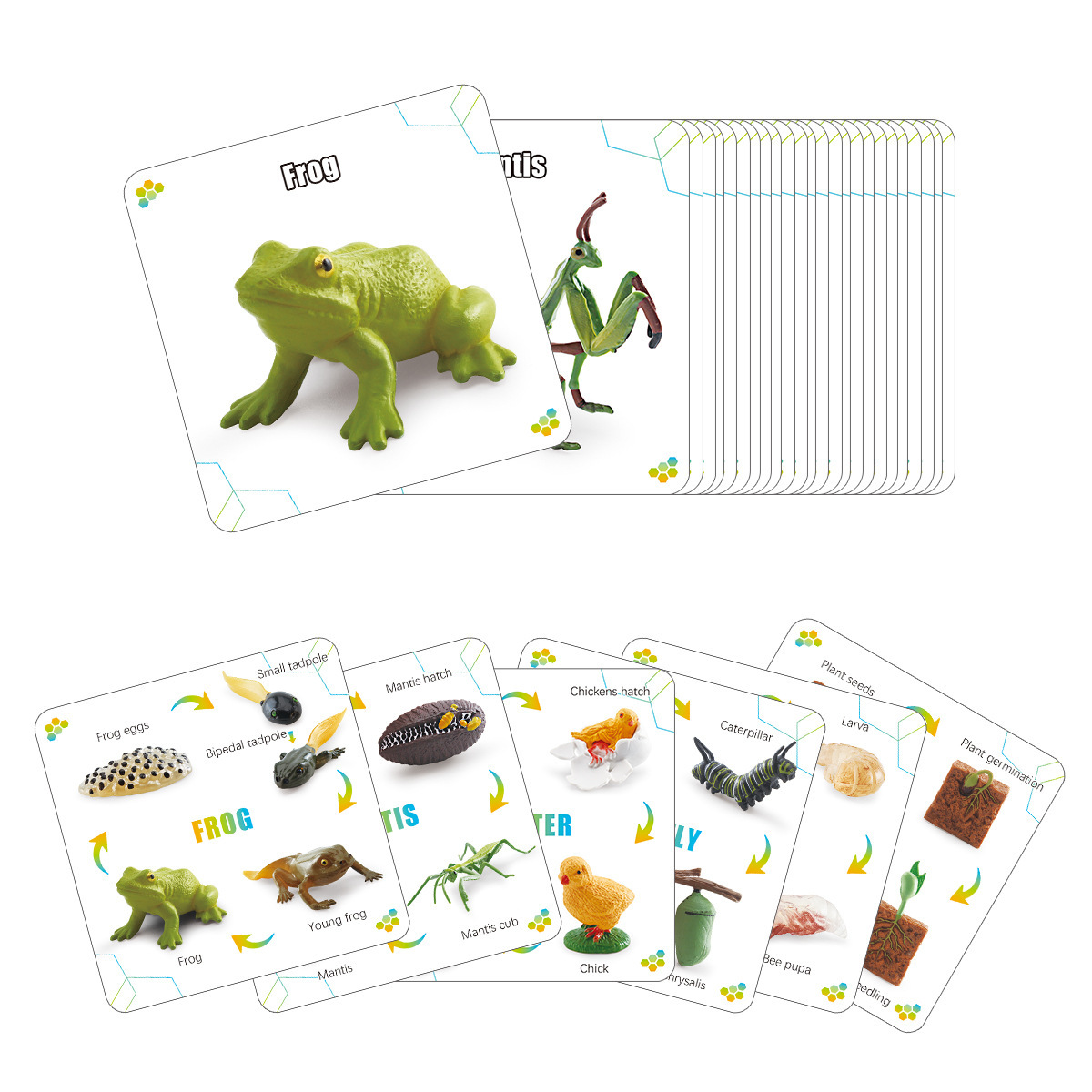 Tarjetas Didácticas de Aprendizaje Infantil de Papel para Desarrollo Intelectual y Educación Temprana