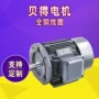 贝得西门子系列异步电动机