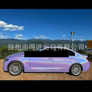 4D Magic Splendid Lavender Color Laser Colorful Paint Aasund Parrot Special Effect Paint Crafts Ornament Paint