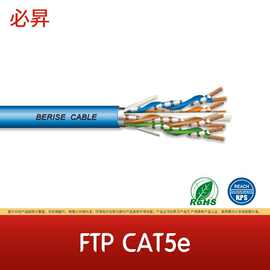 FTP CAT5e  五类超五类4对对绞线网线 室内 室外屏蔽网线