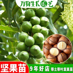 ���ވԹ���������V�����1̖�Թ��޽����Ϸ����������Ե���