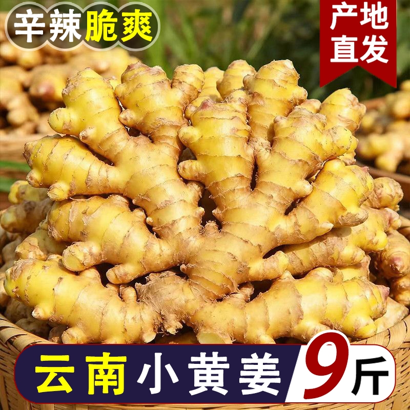 9斤云南小黄姜农家生姜批发土姜现挖新鲜高山沙姜月子姜老姜包邮