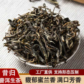 昔归生茶云南普洱茶饼源头厂家定制批发送礼临沧古树散茶